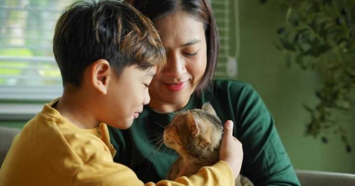 Adoptar cambia dos vidas: la de una mascota y la de quien abre su hogar