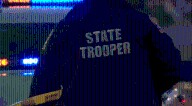 State police searching for person in marsh area Tolland