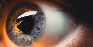 Nutrición para ver mejor: los alimentos que cuidan tu vista y previenen enfermedades oculares