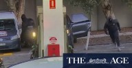 Police seeking Sydney rapper over a deadly service station shooting