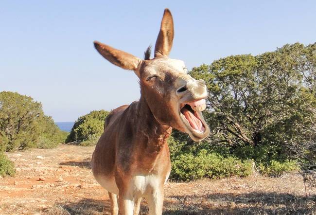 CISA exec blames hackers, Democrats for network risk • The Register