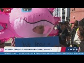 Axolotl and frog costumes: protesters talk about what they represent at the No Kings protest Charlot