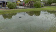 Arizona family wakes to flooded basement after overnight rain