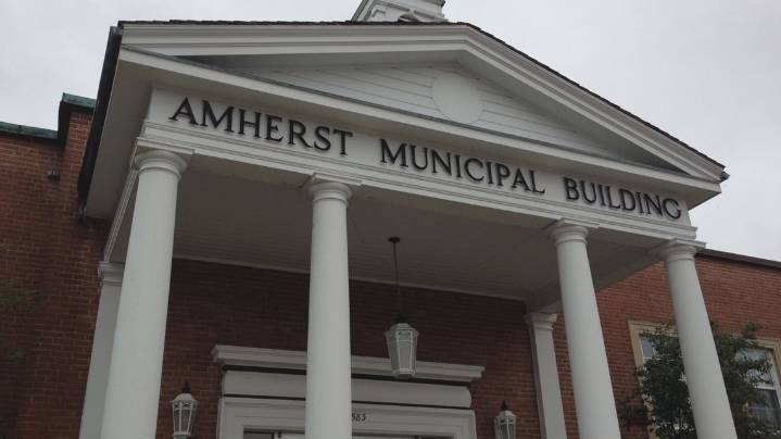 2 candidates bring different visions for Amherst government efficiency
