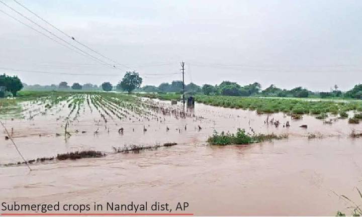 Cyclone Montha ravages Andhra