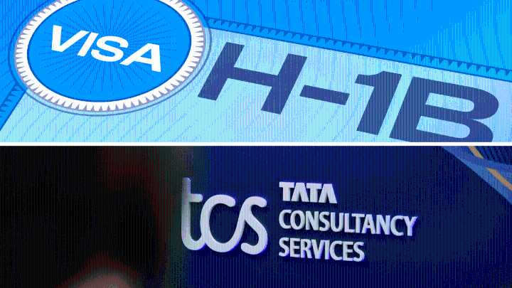 US Senators grill TCS on H-1B hiring, American job displacement