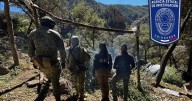 Destruyen 10 plantíos de mariguana en operativos simultáneos en Chihuahua