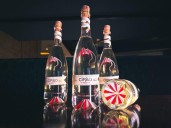 Presentan propuesta del Tequila Cirilo Spritz Mexicano