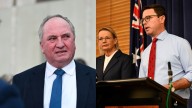 John Anderson says Coalition must face its internal divisions ‘full-bloodedly’ after Barnaby Joyce’s decision to quit Nationals