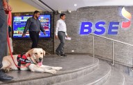 Sensex, Nifty end marginally higher as profit-taking erodes sharp intra
