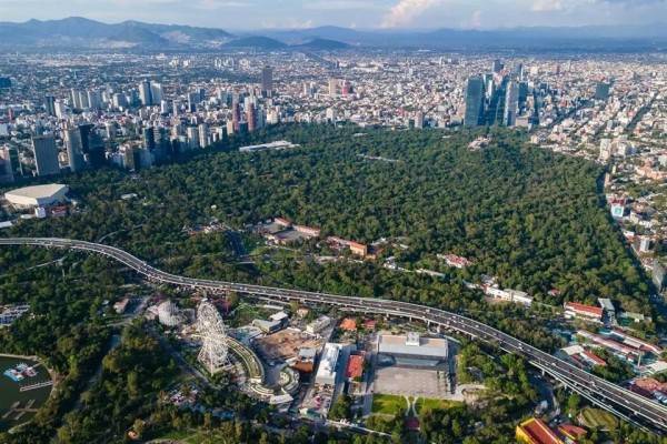 Pierde México 5 por ciento de bosques en los últimos 25 años