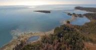 Five things about Nova Scotia's decision to approve Whale Sanctuary Project
