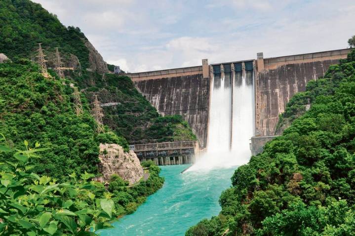 BBMB to release 40,000 cusecs extra from Bhakra, Pong floodgates today amid Punjab rain alert