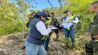 CAR incauta motosierra y protege 22 árboles nativos en bosque seco del río Magdalena