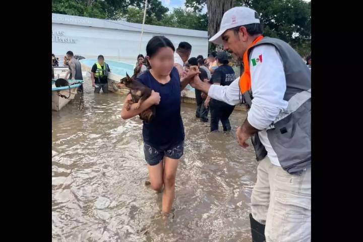 Lluvias dejan 31 muertos y graves inundaciones en Hidalgo, Puebla y Veracruz: activan Plan DN