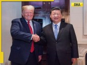 Will US slap China with 500% tariffs if Donald Trump