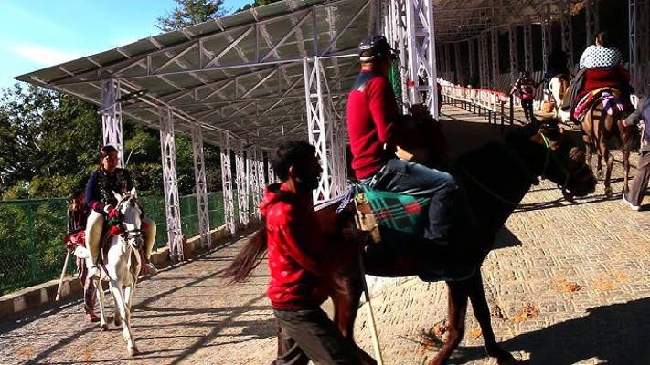 Pony operator booked for running unauthorised services on Vaishno Devi track