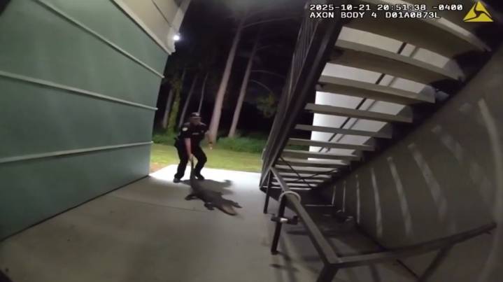 Officers capture gator found lounging at Orlando apartment complex