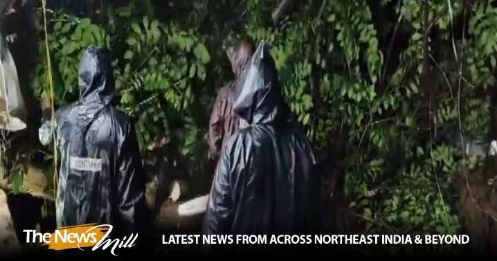 Andhra Pradesh: District Police clear traffic on NH-16 after massive tree collapse