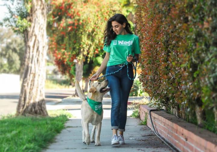 iHeartDogs Partners with Wag! to Give Pet Parents a Free $50 Pet Care Credit