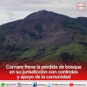 Cornare frena la pérdida de bosque en su jurisdicción con controles y apoyo de la comunidad