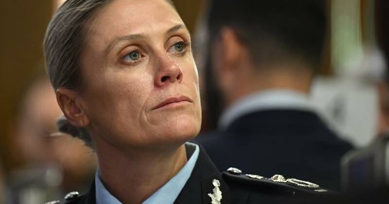 Foreign actors, cohesion priority for nation's top cop