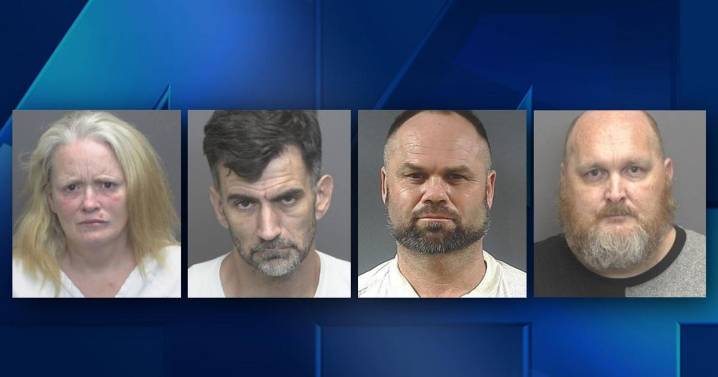 Four arrested in multi-county burglary and car theft investigation