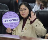 Llama Dip. Michel Sánchez al Congreso de la Unión aprobar la «Ley Nicole»