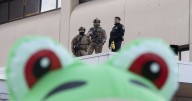 How inflatable costumes ballooned at anti-Trump rallies due to a Portland protester's frog outfit