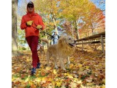 PHOTOS: Tricks and treats during Stratford Dog Walkers' Halloween parade