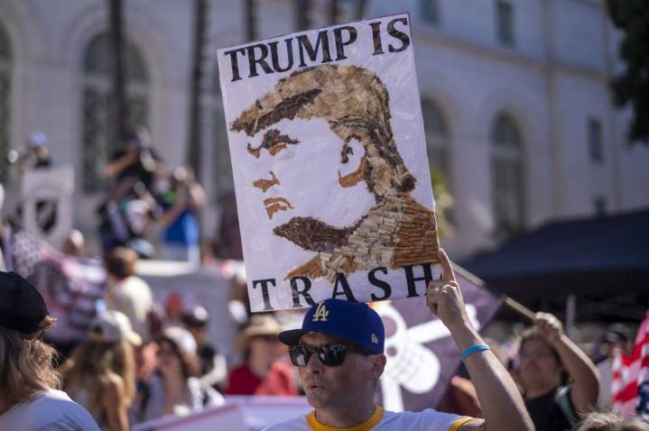 'No Kings' crowds don't want more democracy