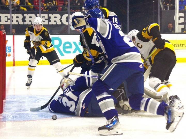 Sudbury Wolves shut out in Brantford
