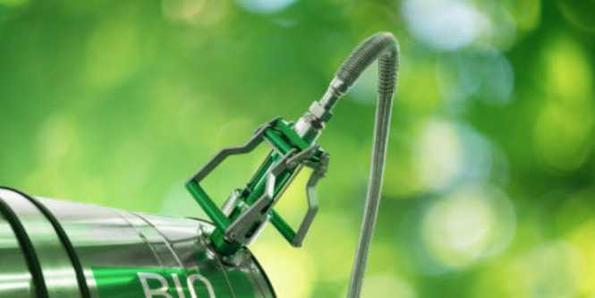 Proyecto cambiaría fórmula de precios a los biocombustibles en Colombia