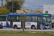 Como en toda la provincia, en Olavarría será gratis el transporte público