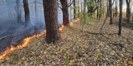 Fire Weather Watch issued for St. Lawrence County until 8:00 p.m. Sunday