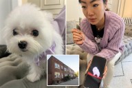 Exclusive | NYC pet store Tiny Cuties selling Asian-bred pups for as high as $38k despite NY sale ban