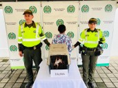 Capturan a mujer por transporte ilegal de dos ardillas