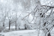This winter in the DC region may be warmer than normal, NOAA says