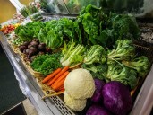 Health department uses state grants to fund food, produce programs