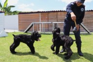 Presentan a nuevos integrante del Grupo de Operaciones Especiales K9