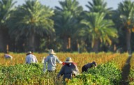 Walters: California businesses, lawmakers turn up heat in battle over workplace temperatures