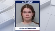 Naked Florida woman accused of battery punches firefighter trying to get her to cover up: PCSO