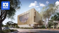 Federal support for national Aboriginal art gallery in Alice Springs in doubt