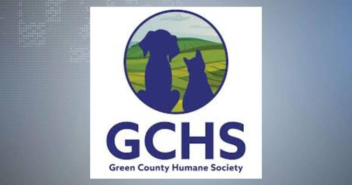 Green County Humane Society rescues nearly 20 starving dogs in Lafayette County