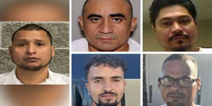 Exclusive: ICE nabs child predator, rapist, and other violent thugs