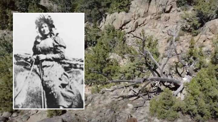 Ghostly Wyoming: Haunted Trees Hold Echoes of Violence From Murders Beneath Their Branches