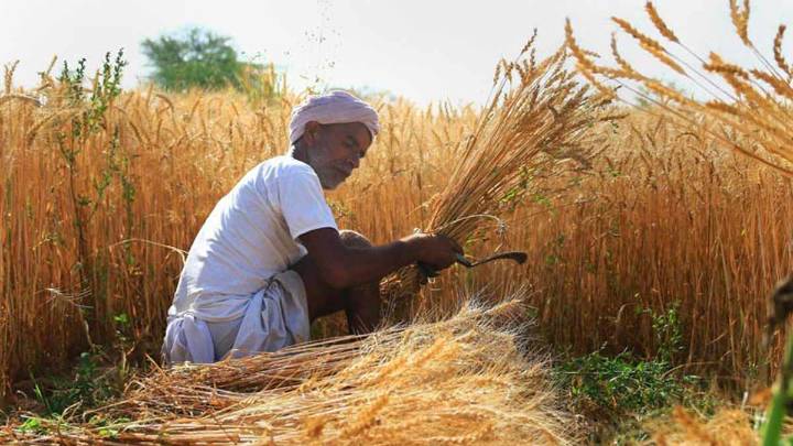 India’s agriculture at the crossroads: From input intensity to ecological intelligence