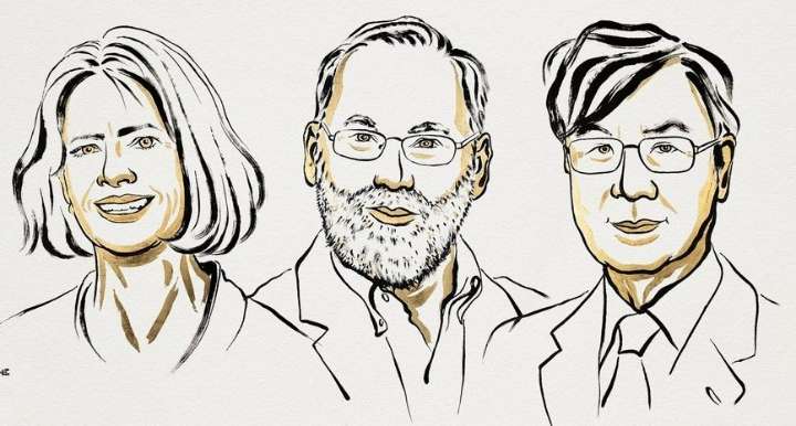 Nobel Prize in Physiology or Medicine 2025: Three scientists share honour