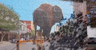 Bison mural in Great Falls shares history through art