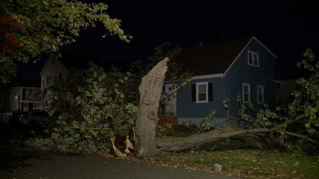 Large tree falls on two homes in Malden
